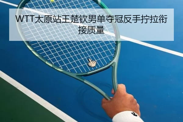 WTT太原站王楚钦男单夺冠反手拧拉衔接质量
